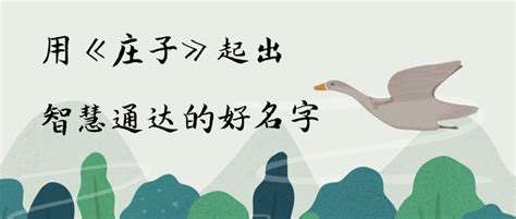 智慧的名字|起名集 